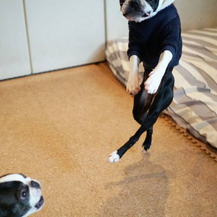 C7da4994 ed07 42bd a16d a6ea7915db63