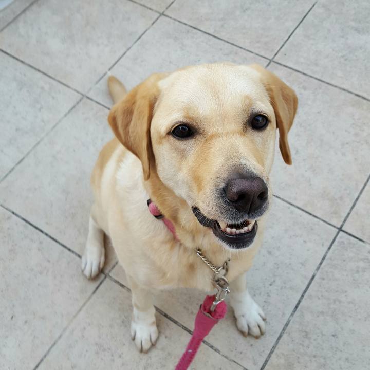 C7da4cc4 aeae 452c bd3d 625ec13ece6f