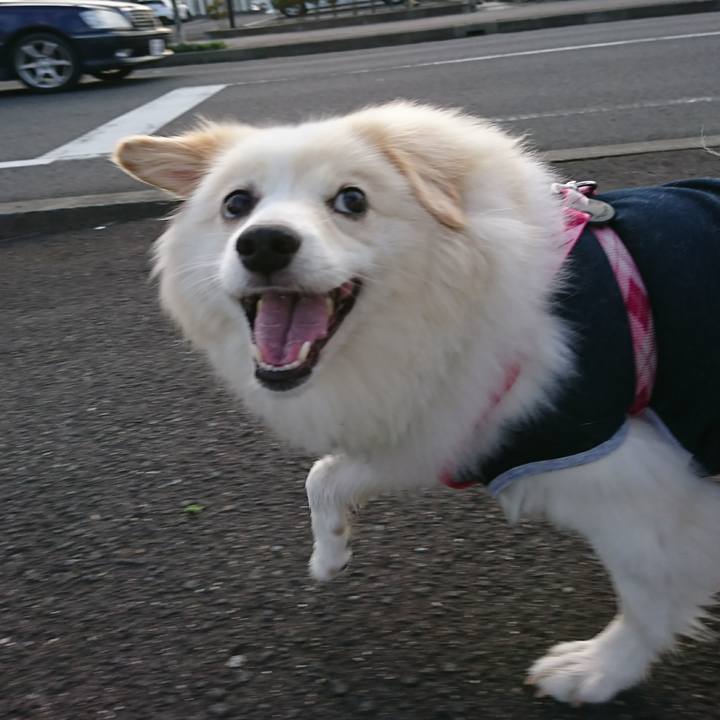 C7da57b3 9b53 43e3 b891 5ab9825782d4