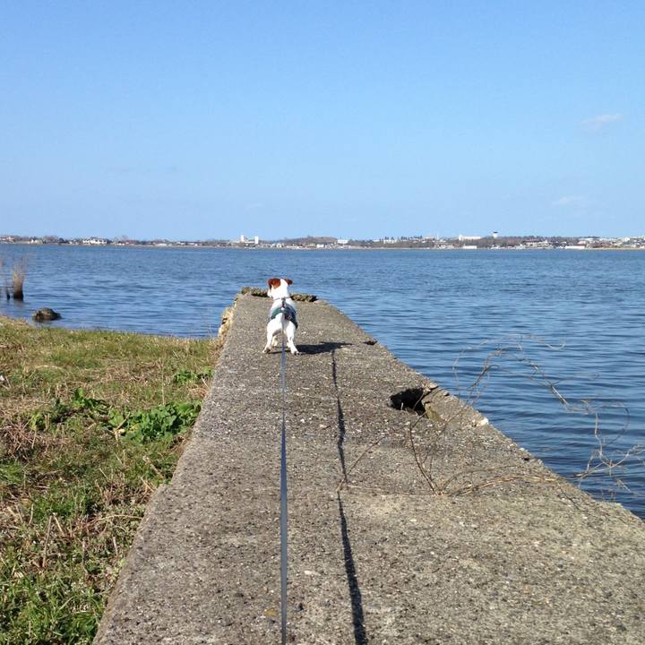 C7da9cc3 527e 499d a6aa 2ccc14635e57