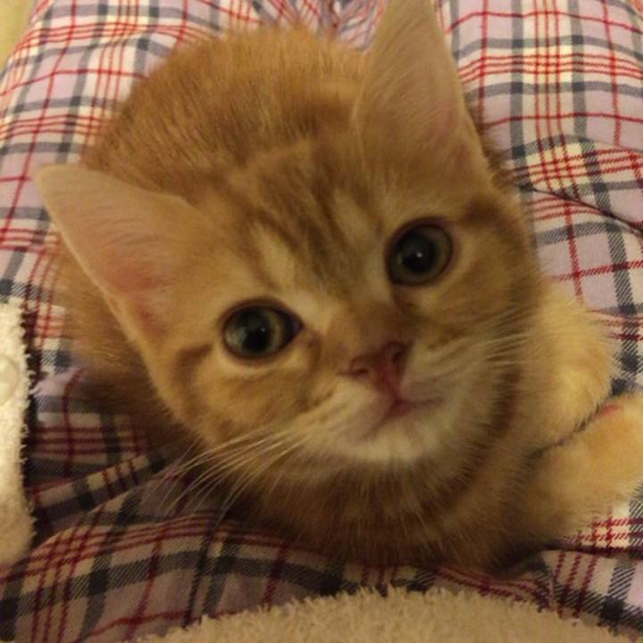 C7dab6cd cb59 4fea a58e a09abbe1c2f9