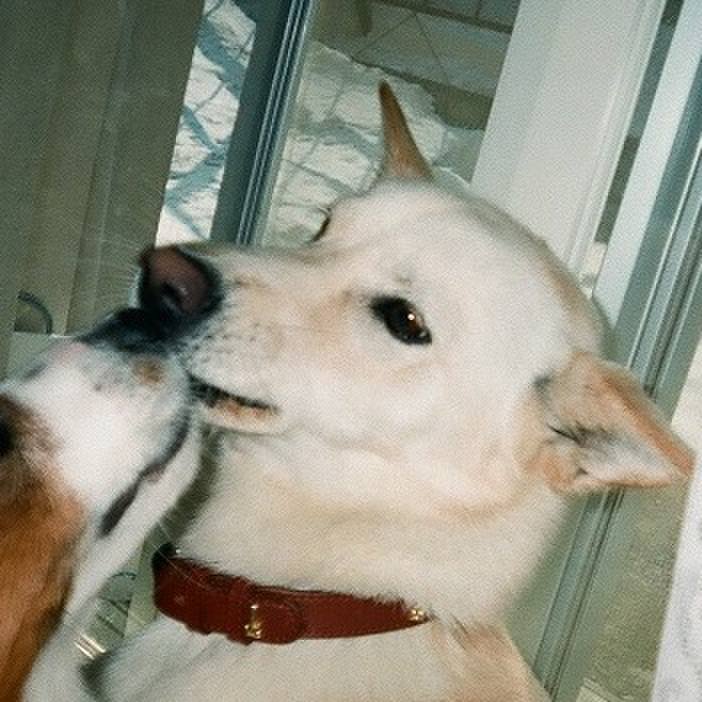 C7db12c7 c932 4ae6 b889 9b256ddc8bba