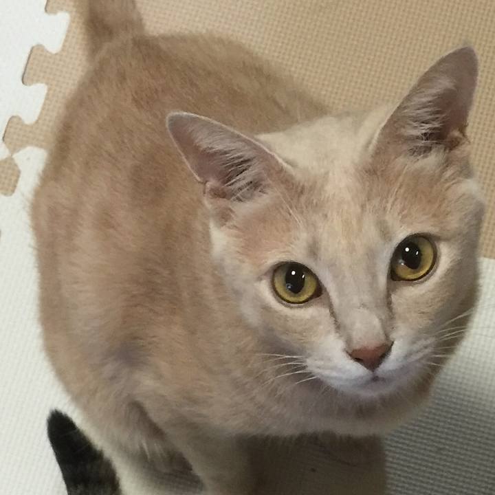 C7db1960 35cb 48de 9d92 ff511890e553