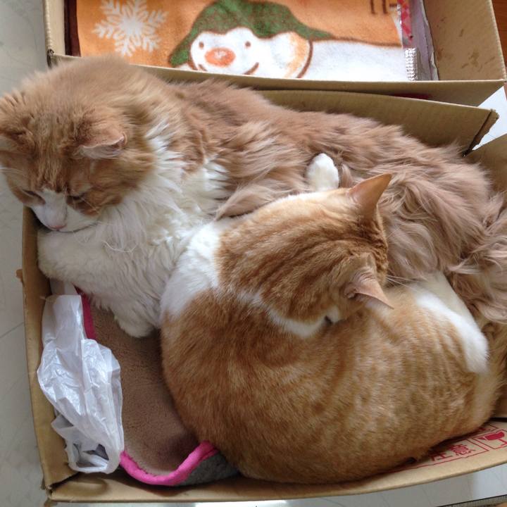 C7dbaa13 d939 42de a764 9a76bbd25225