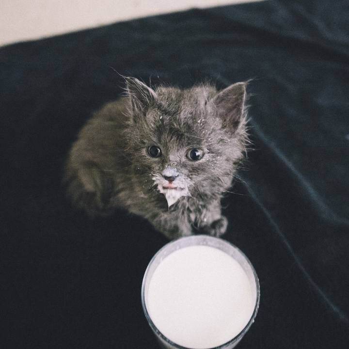 C7dc0894 ea44 4235 98dd b0d346c74ff5