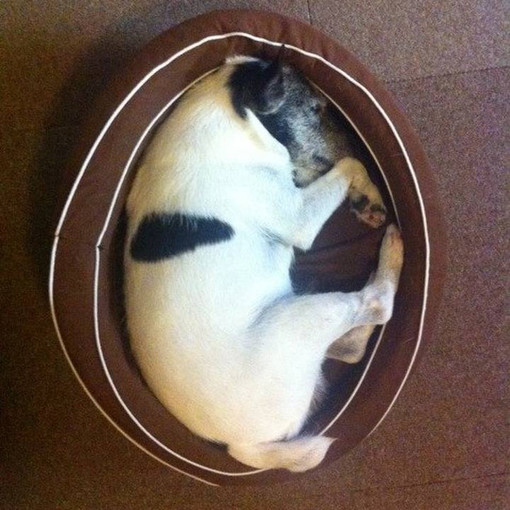 C7dc6bed 13e8 4103 84bb 23838c3c92e1