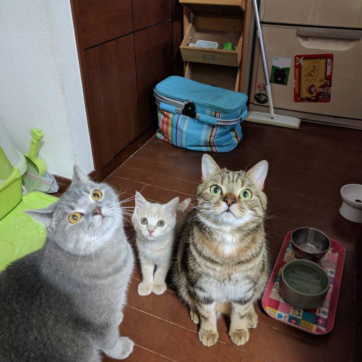 C7dce326 a6b2 419b a0ca fd2c8d7c309f