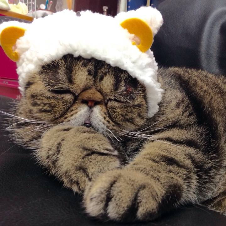 C7dd78a1 3ce8 41f6 bf86 f114425812dc