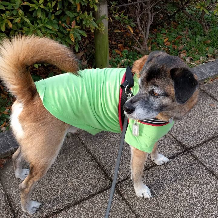 C7ddcdff f74a 4047 8094 92fecbb461c0