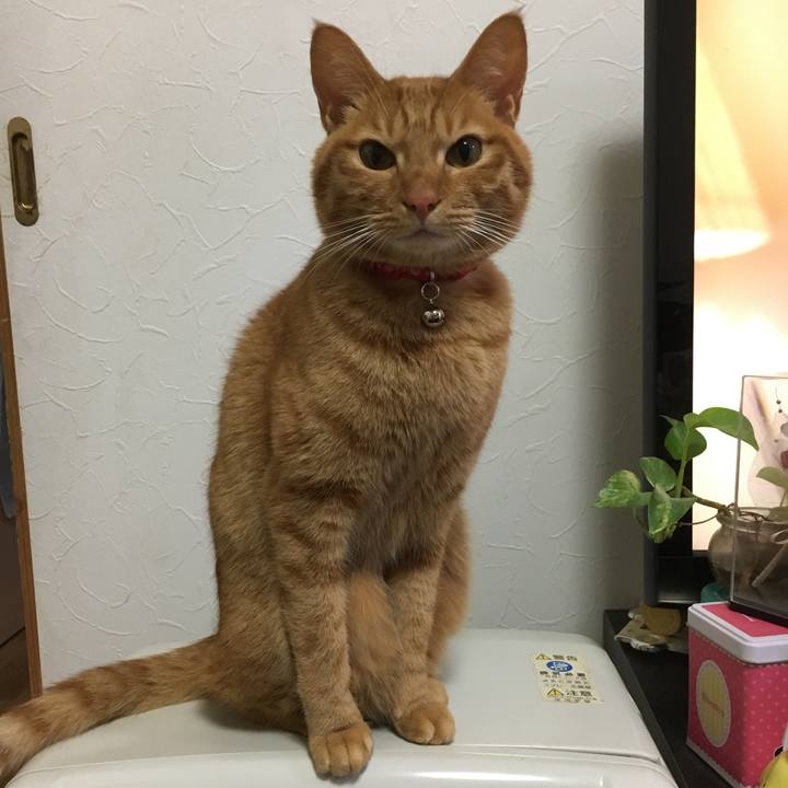 C7dde47c 3eb8 4018 86a6 e973742e9859