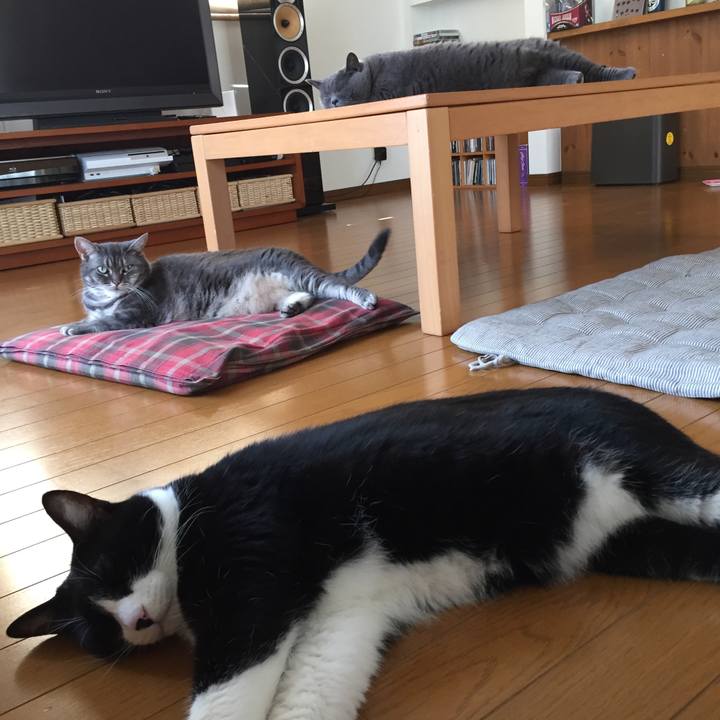 C7de5248 e5aa 4687 8e53 efd03816a160