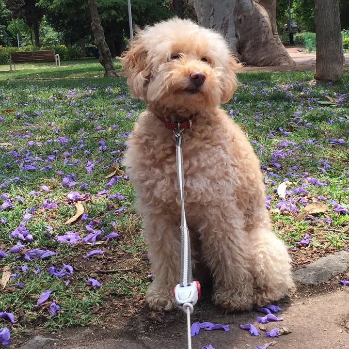 C7de8fde 15b8 4056 8f6e 4267e913587c