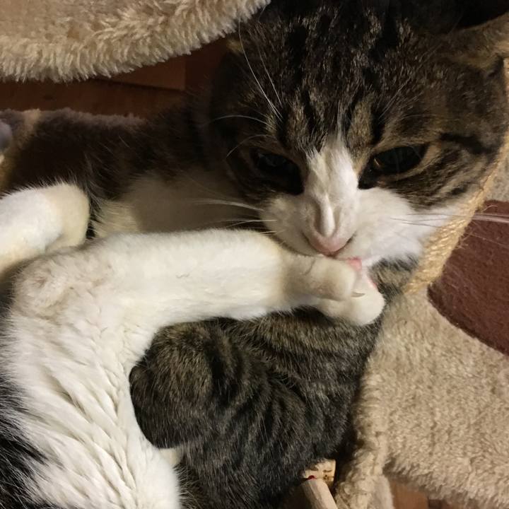 C7de956f e85d 4456 9745 fd2b98479733