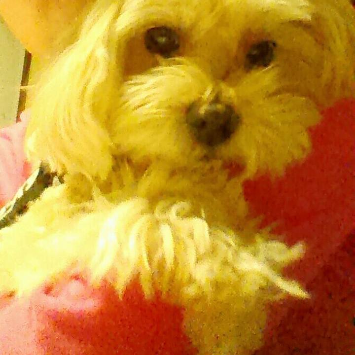 C7dec760 d328 4d3e a2b7 5f3267d8aef5