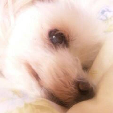 C7df0b28 8818 40fe 926c 91607472d684