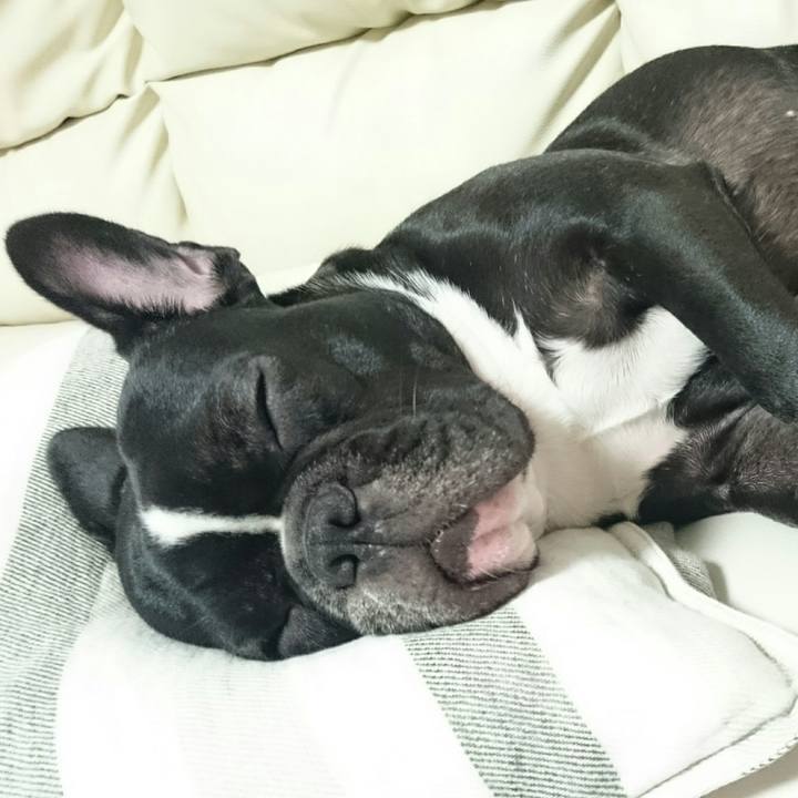 C7df1d45 10df 4ded 82d4 4fa44a6c07ea