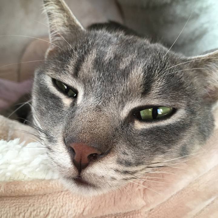 C7df2613 d950 47a0 84a6 09bd944b2622