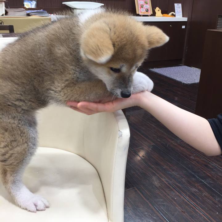 C7e0f131 d681 4db0 a854 2a8c1acc14e1