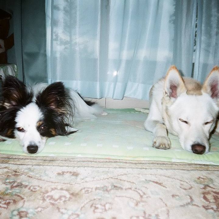 C7e0f459 dd39 4c8c b9b9 fdd64f4e05c5