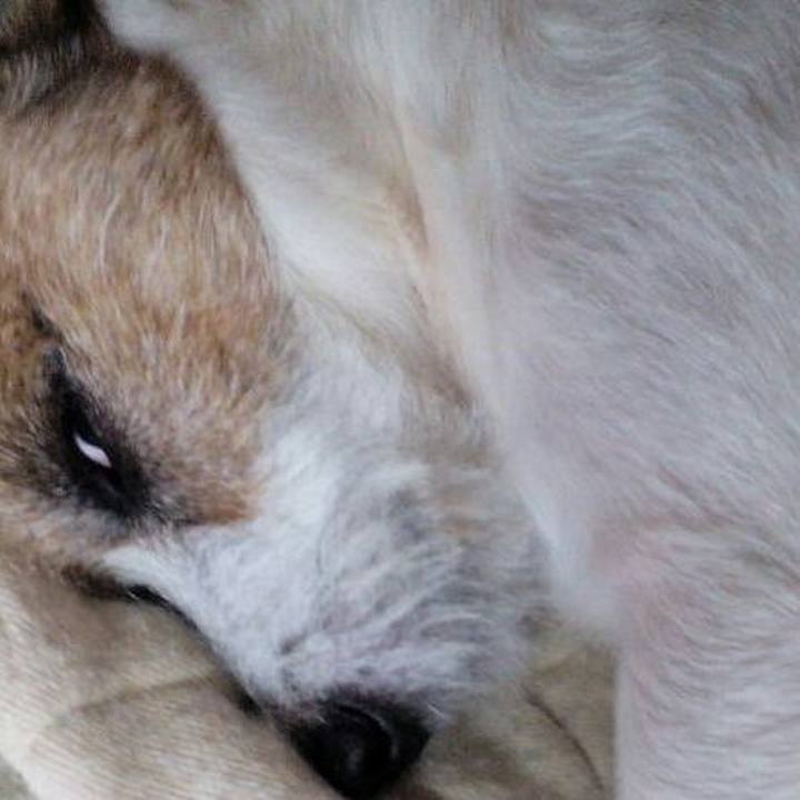 C7e118fa 6fdf 4354 90c8 63828c3342c2