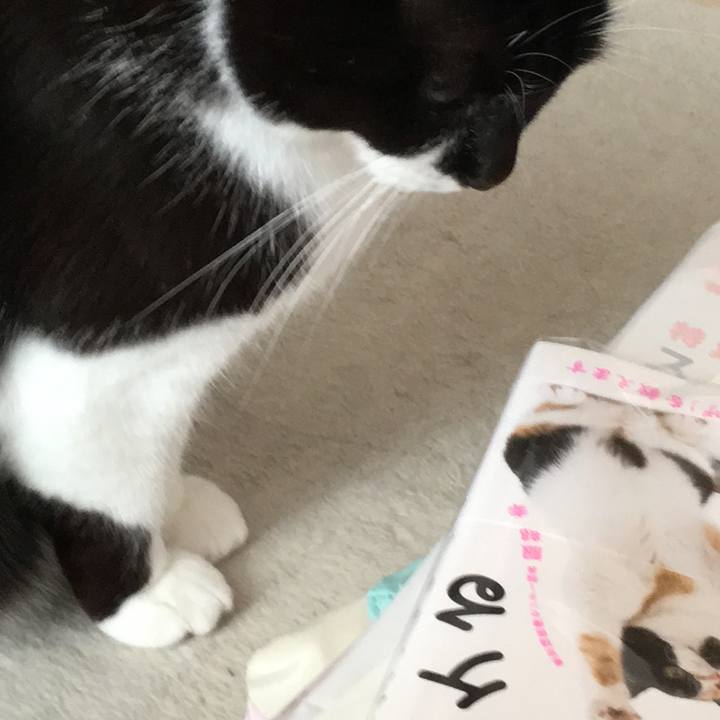 C7e12e15 a04f 4729 a927 c8735ad982d1