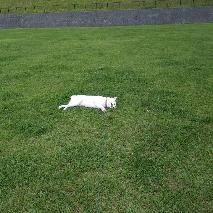 C7e1d359 b7b3 4aca b78e a0803bc48927