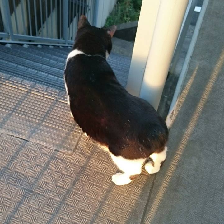 C7e27272 608b 4b61 8fe3 749413cb3b75