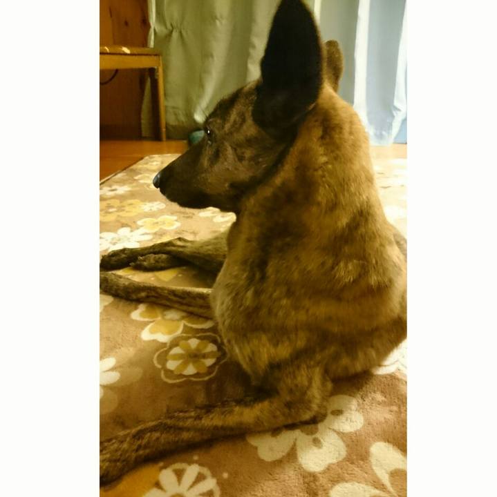 C7e2ae6d fa79 4c6d b729 0f13fedda1d2