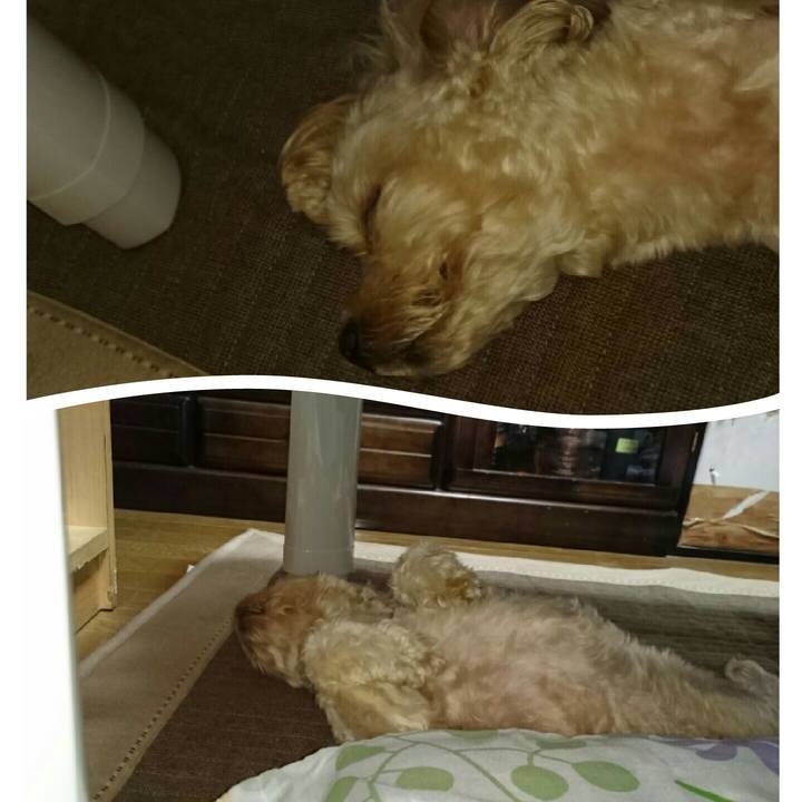 C7e2ec39 9ee5 44ac a07e 1b97d92381c3