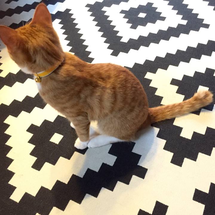 C7e33cf9 1ef2 4846 9b5e d10a34f48d56