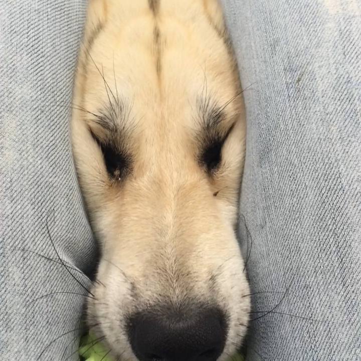 C7e3dfc8 8e39 41af 8c97 e09b398b8a90