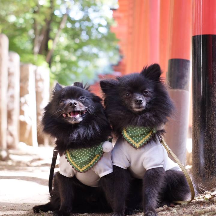 C7e3f047 ee31 4295 83d3 ded11bab37bd