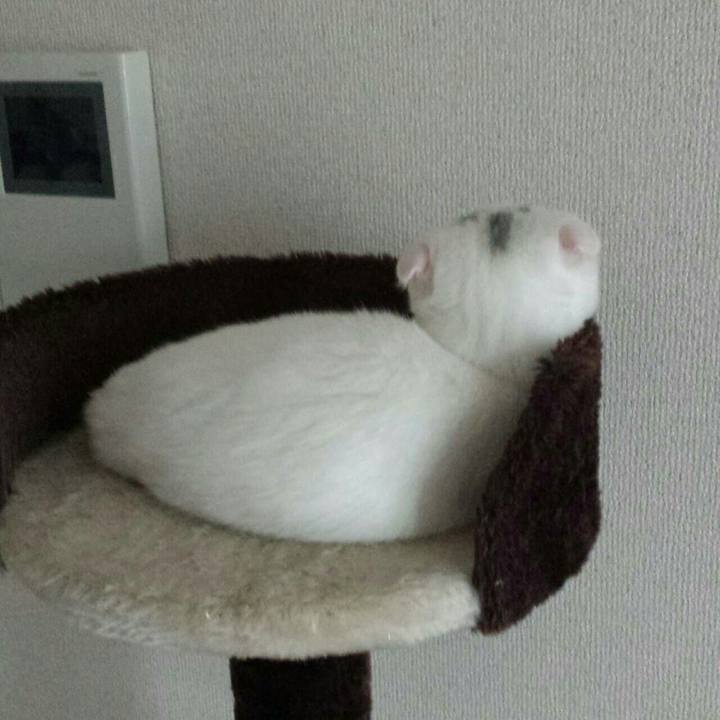 C7e42c1a b854 4196 910f 230982667bec