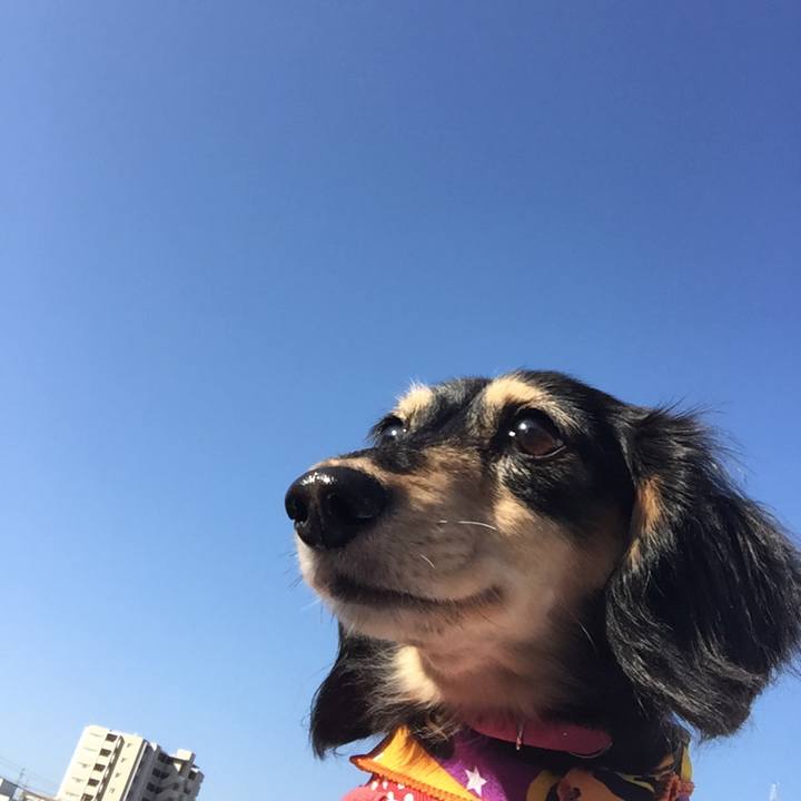 C7e4c5dd 2618 4217 a7c0 9aaf37db2e39