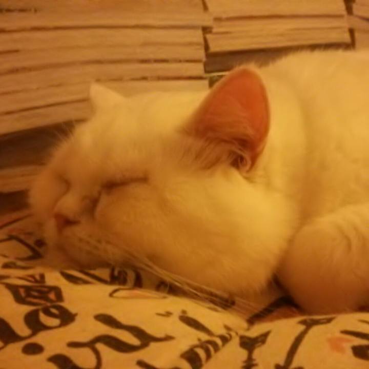 C7e539fe 532d 4129 bb06 613f4147e199