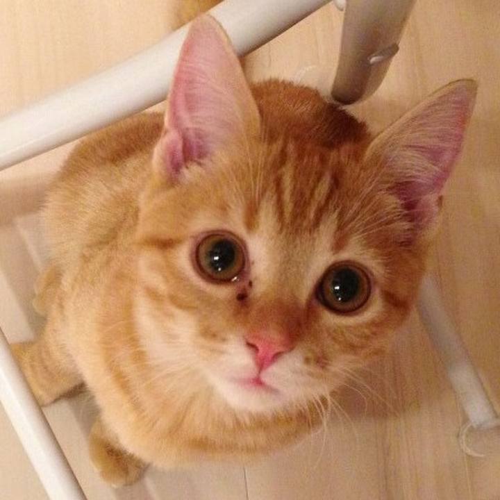 C7e628f1 27a7 4f2b 881b 5806627942a4