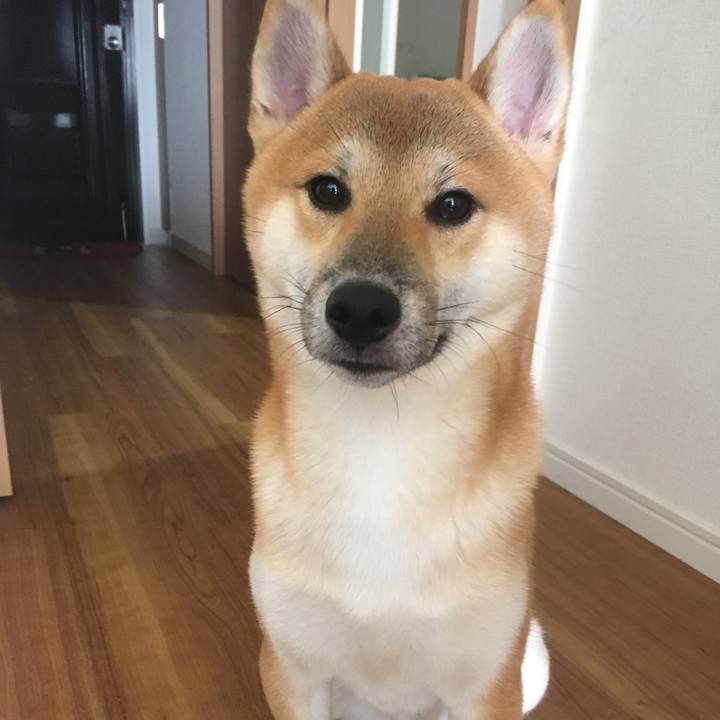 C7e68317 9930 4976 ad49 3178a2d7f7cb