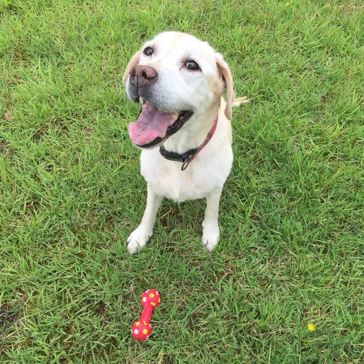 C7e7d089 882b 41de 94be 4ab2b7960309