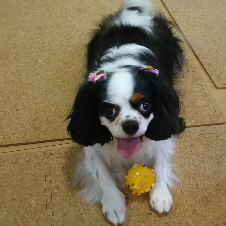 C7e877bc c2e3 4482 bde6 edb4dd98a9dd