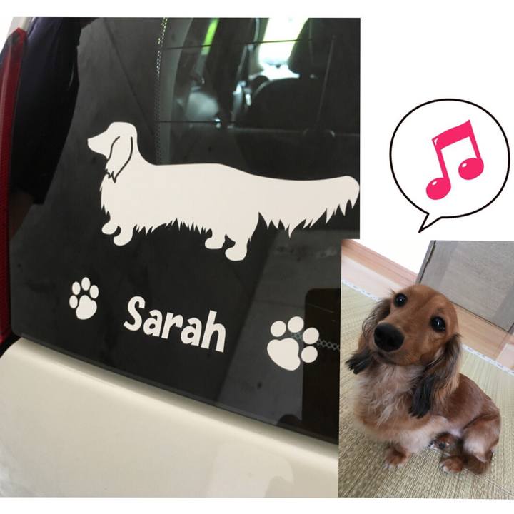 C7e87f4c 96db 491d bde6 f8c601e5e2ca