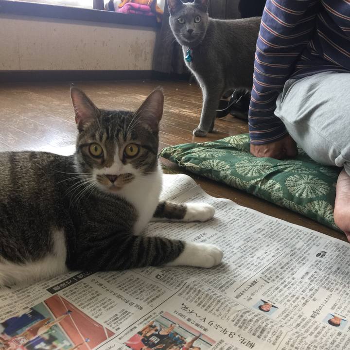 C7e8ec9f 1a3b 440e be31 63d3a7d54459