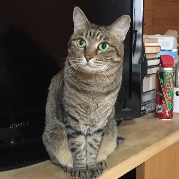 C7e90241 31c1 4f28 b3fd fba01da1c474