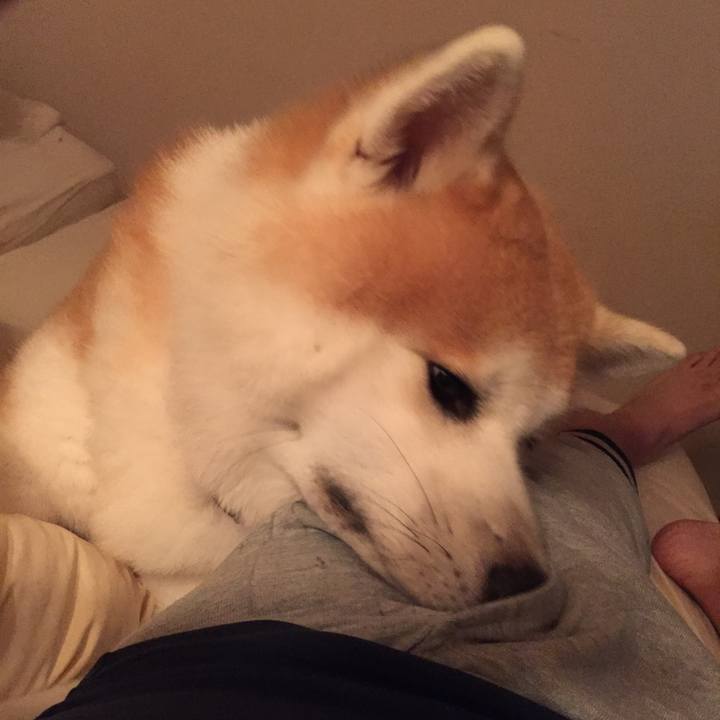 C7e904f6 a60d 475b b653 65597b4acf77