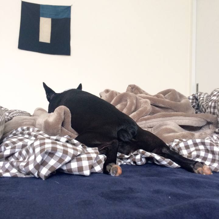 C7e90566 96fa 4311 8635 33fe5bd4b7f5