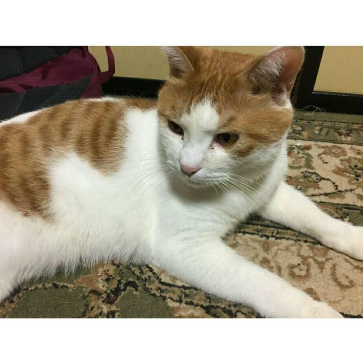 C7e95f46 9fac 4f10 858a dc84ab2752a0