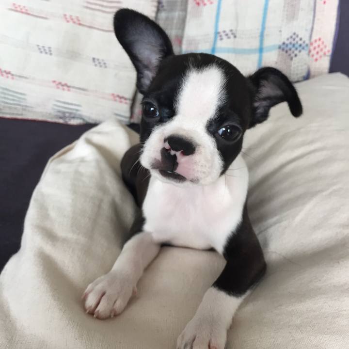 C7ea1522 6787 4331 bc96 c0c21cd92b54