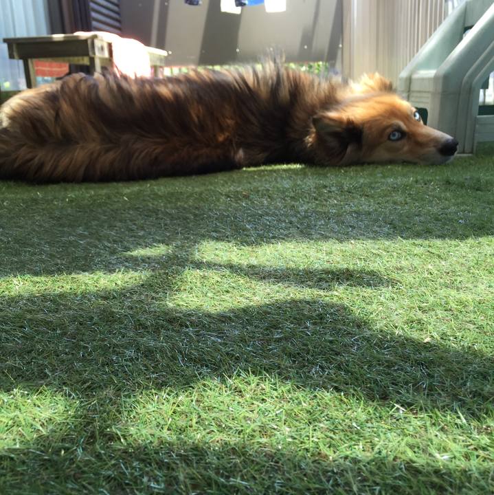 C7ea43aa 9e9c 4552 b2df 17464d1eb278