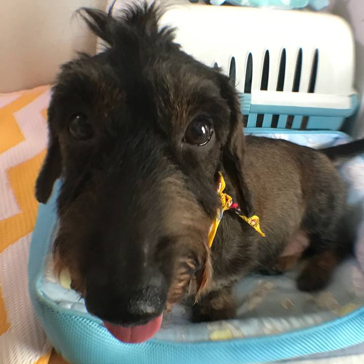 C7ead3a6 45fc 4b39 bedf 1dc122828b13