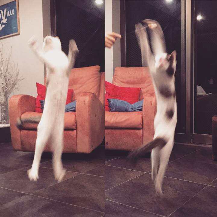 C7eb4c12 be06 4b44 9e7d 54935350da45