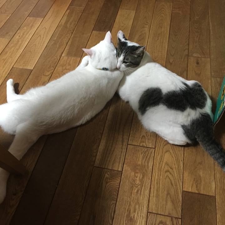 C7eb6262 a1d0 4ae8 b712 c4f2580c7033